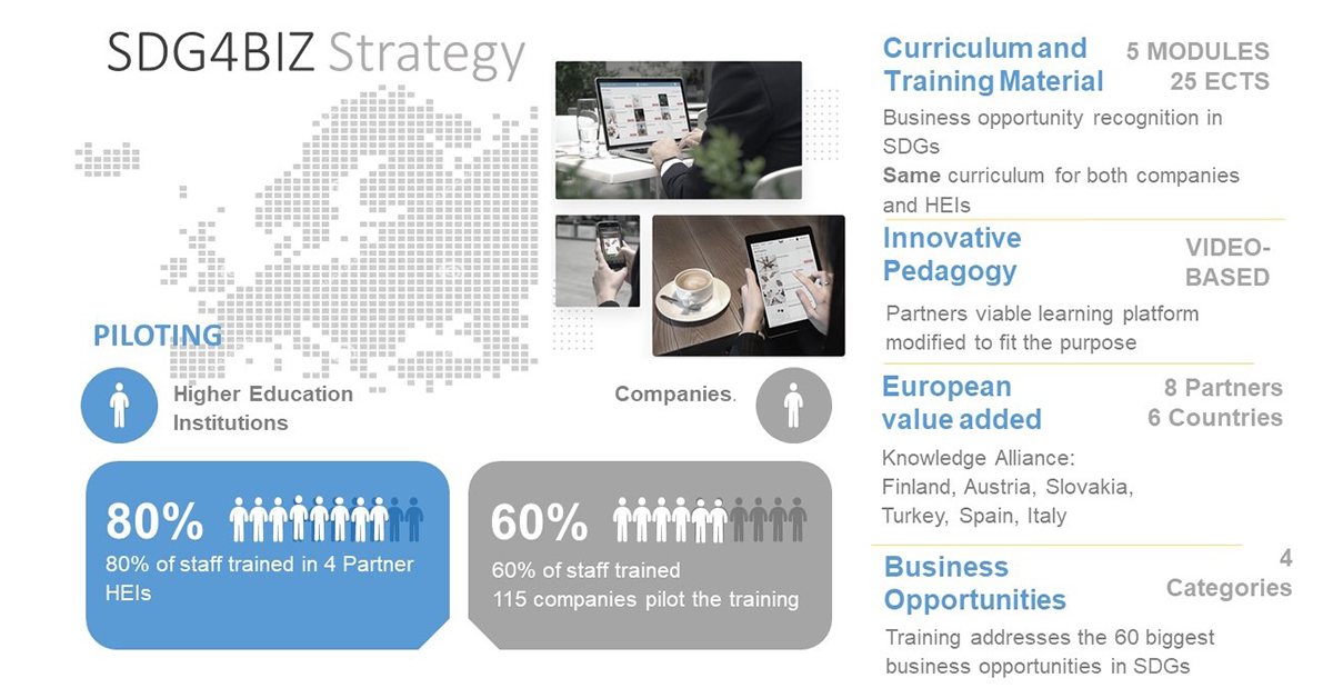 SDG4BIZ strategy illustration